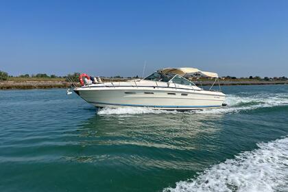 Rental Motorboat Sea Ray 31 Venice