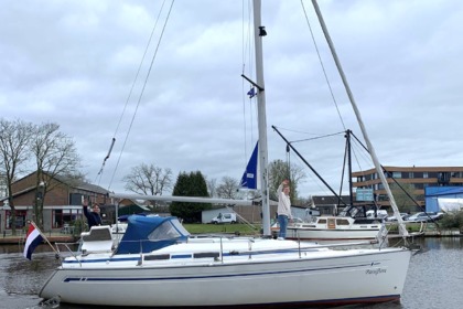 Location Voilier Bavaria 31 Cruiser Amsterdam