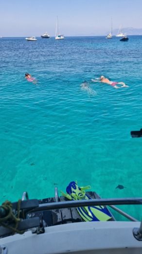 Ajaccio Sailboat CONYPLEX CONTEST 29 alt tag text