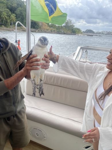 Rio de Janeiro Catamaran Praia Praia 47 alt tag text