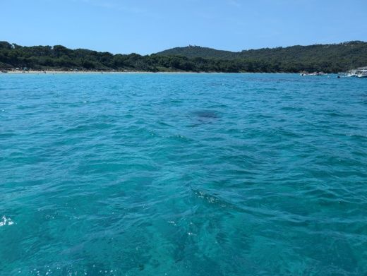 Йер Motorboat Mar Sea Sp 120 alt tag text