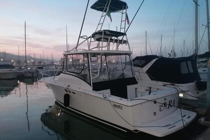 Charter Motorboat Luhrs Luhrs 29 Ischia