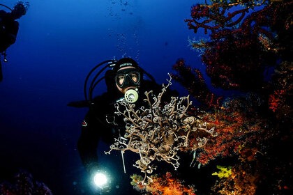 Noleggio Barca a motore Marinello 15 metri Marettimo