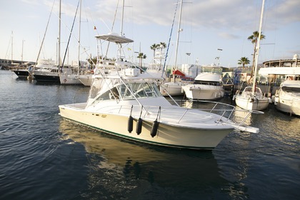 Charter Motorboat Luhrs 32 Playa de las Américas