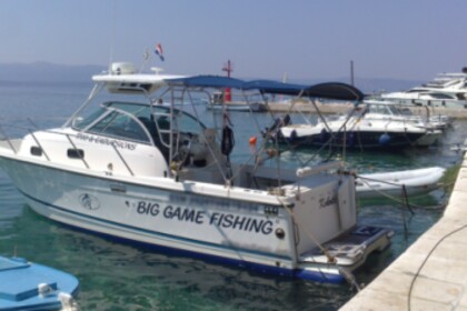 Hire Motorboat TROPHY Trophy 2801 wa Bol