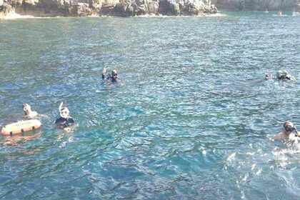 Rental Sailboat Nautic Saintonge Rorqual p74 Beaulieu-sur-Mer