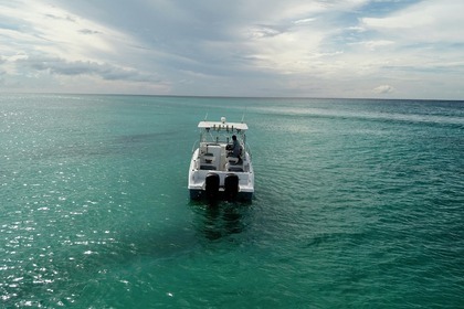 Rental Motorboat Wellcraft costal 23 Bayahibe