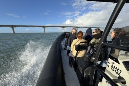 Aluguel Semi Rígido Narwhal Sp-900 La Rochelle