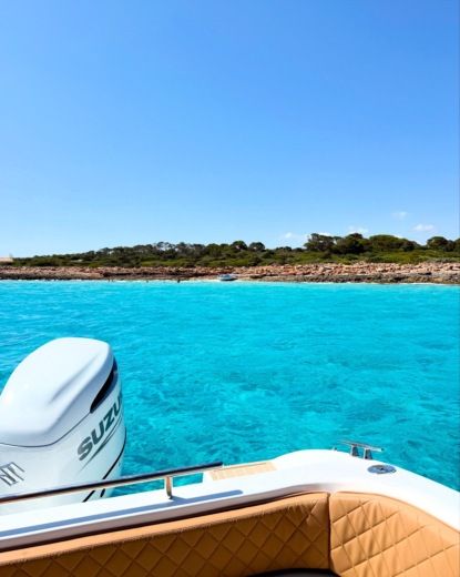 Es Trenc Motorboat Saver 750wa hardtop alt tag text