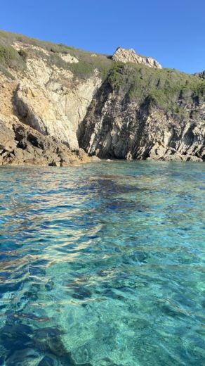 La Londe-les-Maures Motorboat PACIFIC CRAFT 650 WA alt tag text