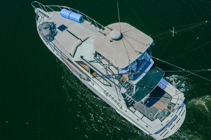 Rental Motorboat Hatteras 460 Flybridge Mazatlán