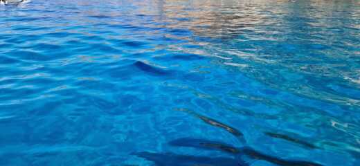 Paleokastrítsa Without license Assos Marine 2022 alt tag text