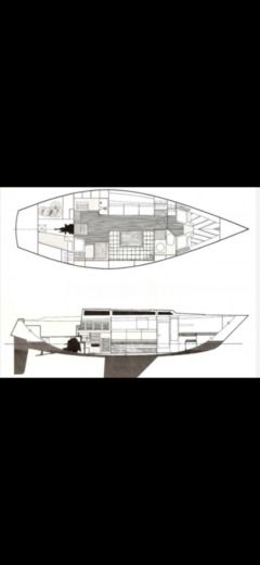 Sailboat Barberis SHOW 34 Plattegrond van de boot
