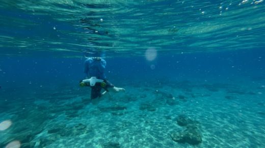 Κως Motorboat Trojan 44 Express alt tag text