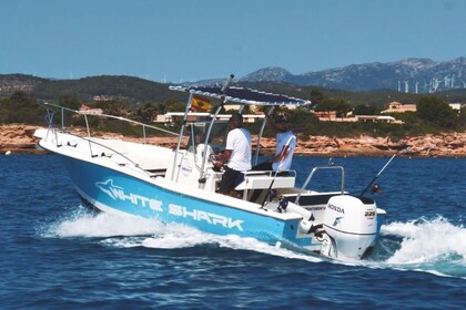 Location Bateau à moteur White Shark 225 L'Ametlla de Mar