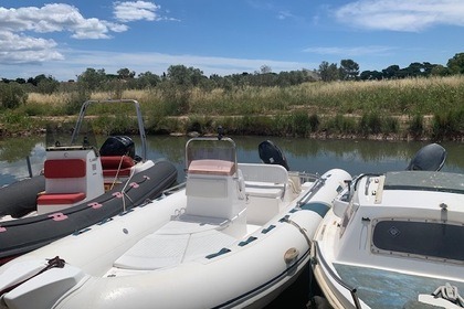Czarter Ponton RIB Tiger Marine 520 sport Line Hyères