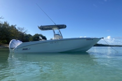 Noleggio Barca a motore Boston Whaler Outrage 270 Cabo Rojo