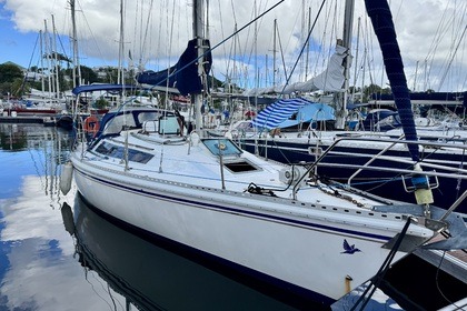 Location Voilier Gilbert Marine Gib Sea 106 Master Le Gosier