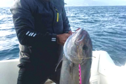 Location Bateau à moteur Jeanneau Merry Fisher 695 Marlin série 2 Marina Smir