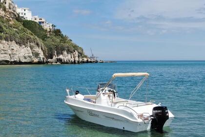 Hire Boat without licence  Blumax 19 Vieste