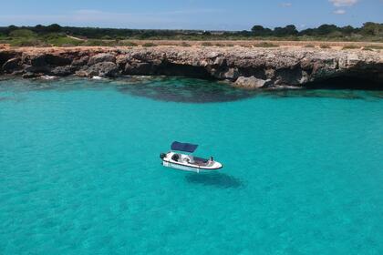 Charter Boat without licence  Marion Marion 500 classic Ciutadella de Menorca