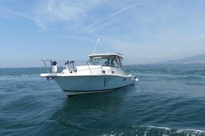 Hire Motorboat Pursuit 3100 Offshore Sorrento