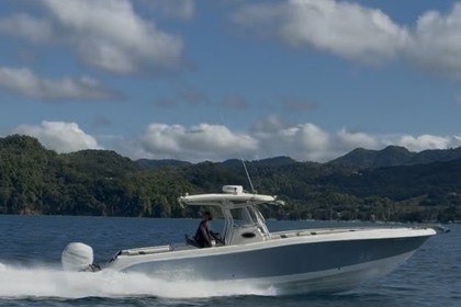 Miete Motorboot Hydra Sports 3300 CC Martinique