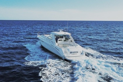 Rental Motor yacht Sea Ray 54 La Romana