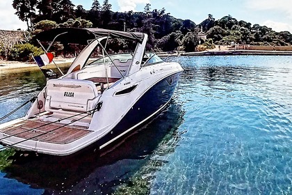 Rental Motorboat Sea Ray Sundancer 265 Mandelieu-La Napoule