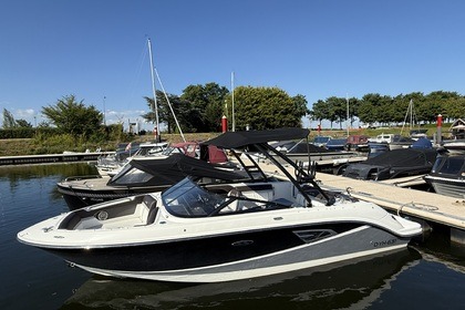 Rental Motorboat Sea Ray 230 slx Drimmelen