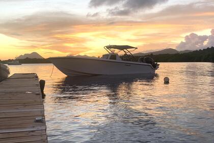 Aluguel Lancha Fusion 31 sport Sainte-Luce