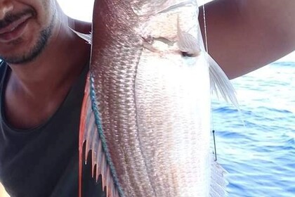 Miete Motorboot Kusadasi Fishing Kusadasi Fishing Kuşadası