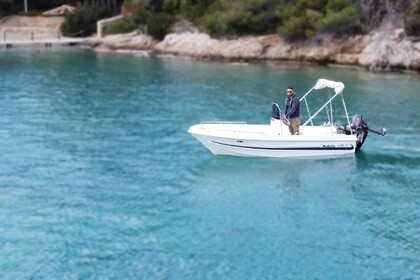 Charter Motorboat NIKITA 450 Spetses