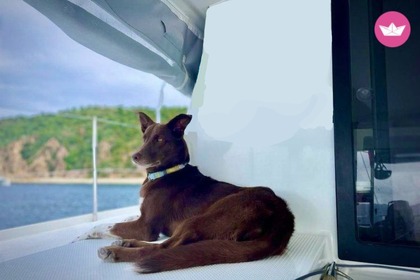 Location Catamaran Fountaine Pajot Lucia Jolly Harbour