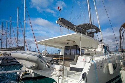 Aluguel Catamarã Fountaine Pajot Isla 40 Toulon