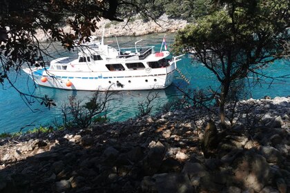 Charter Motor yacht Dagless Fleur de Lys Rijeka