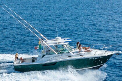 Hire Motorboat Pursuit 3400 