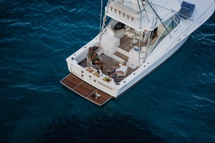 Hire Motor yacht Luhrs 320 Open Agios Nikolaos