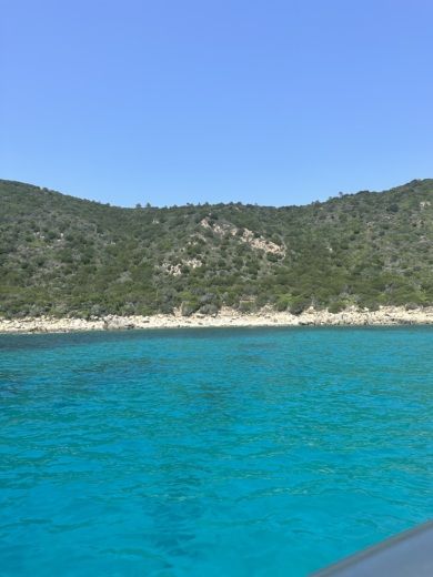 Ajaccio RIB Bsc Bsc 61 alt tag text