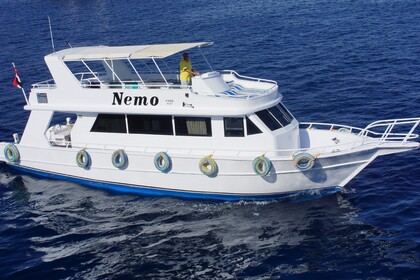 Чартер Моторная яхта Afternoon Cruises Shipyard Customized Шарм-эль-Шейх