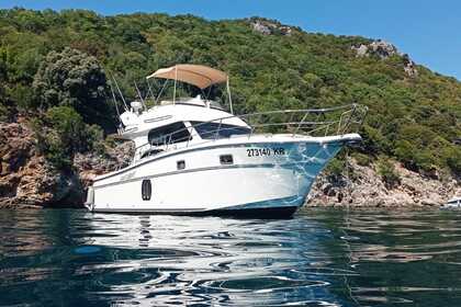Rental Motorboat Motor boat Altair-45 Pula
