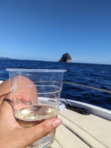 Le Marin Motorboat Beneteau Flyer 6.6 alt tag text