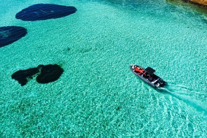 Hyra båt Motorbåt Polaris 7 metri Polaris La Maddalena