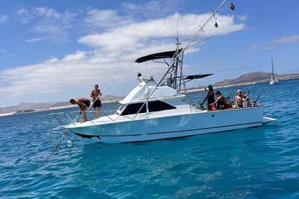 Miete Motorboot Bertram Bertram 28 Fuerteventura