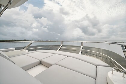 Charter Motorboat Sea Ray L550 Nuevo Vallarta