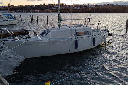 Verhuur Zeilboot Foxhound 24 Sønderborg