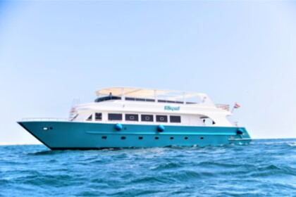 Hire Motor yacht Cruisers 2022 Hurghada