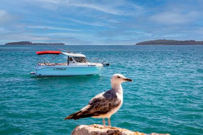 Rental Motorboat Arvor Arvor 25 Fažana