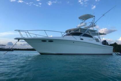 Rental Motorboat Sea Ray 35 La Romana