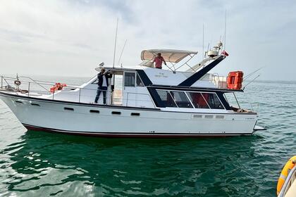 Verhuur Motorjacht Bayliner 4588 Agadir